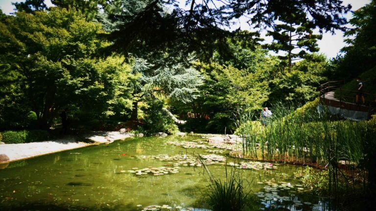 Albert Kahn garden. Don't miss in Paris | IN Places