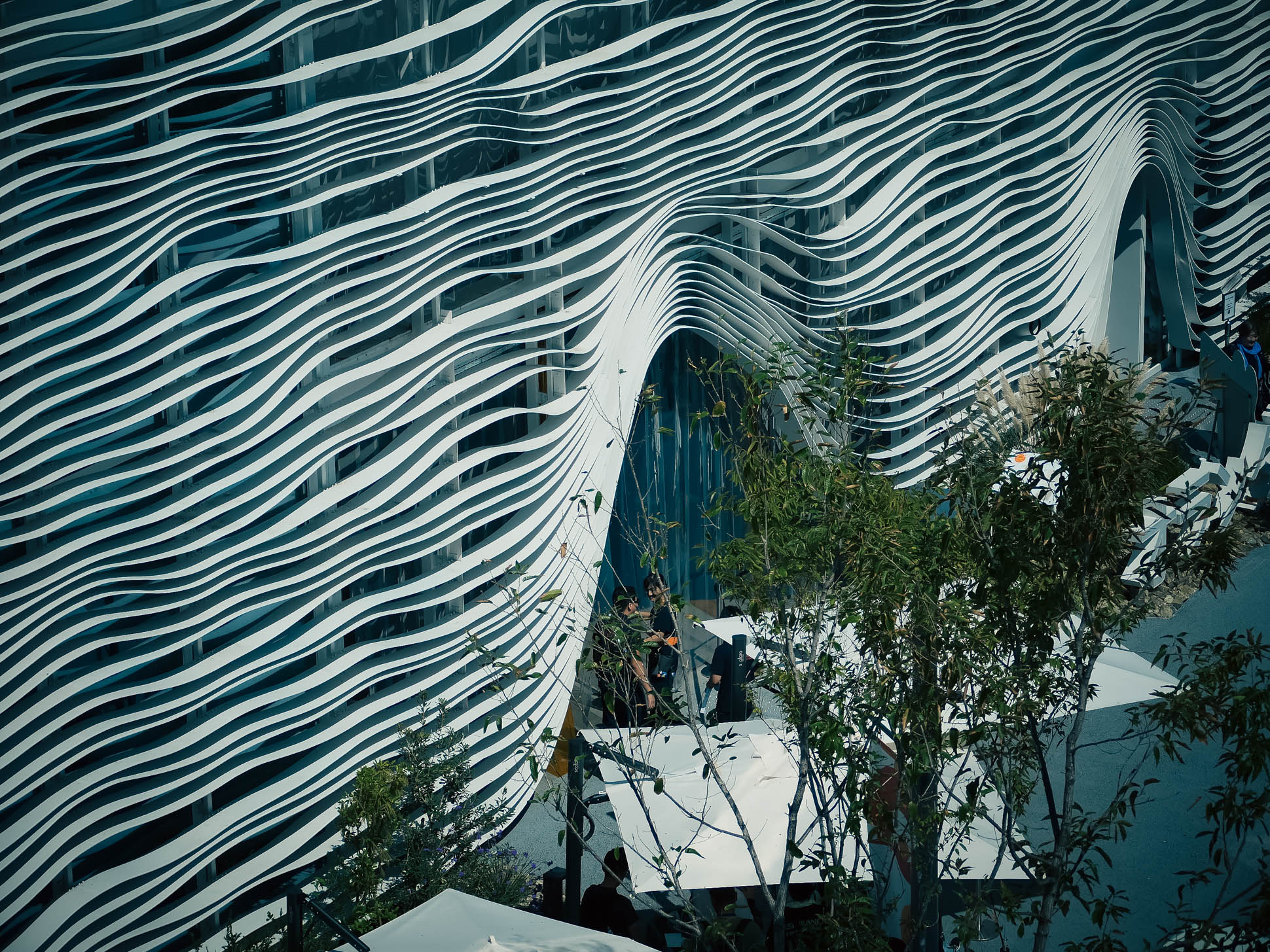 expo 2025