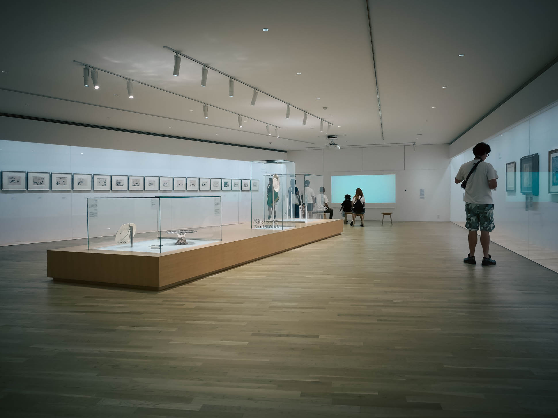 The Hakone Open Air Museum 3 picasso pavilion hakone