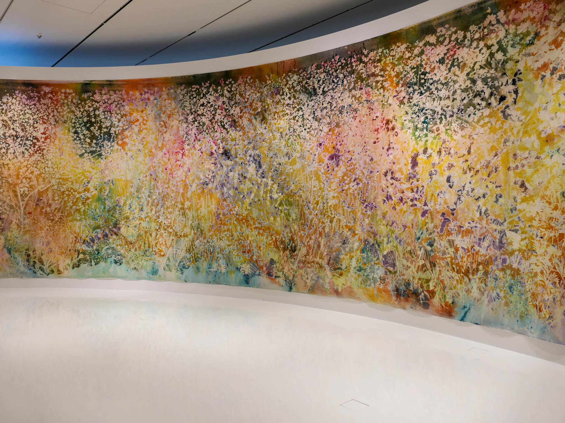 Sam Falls. Spring to Fall 6 Sam Falls