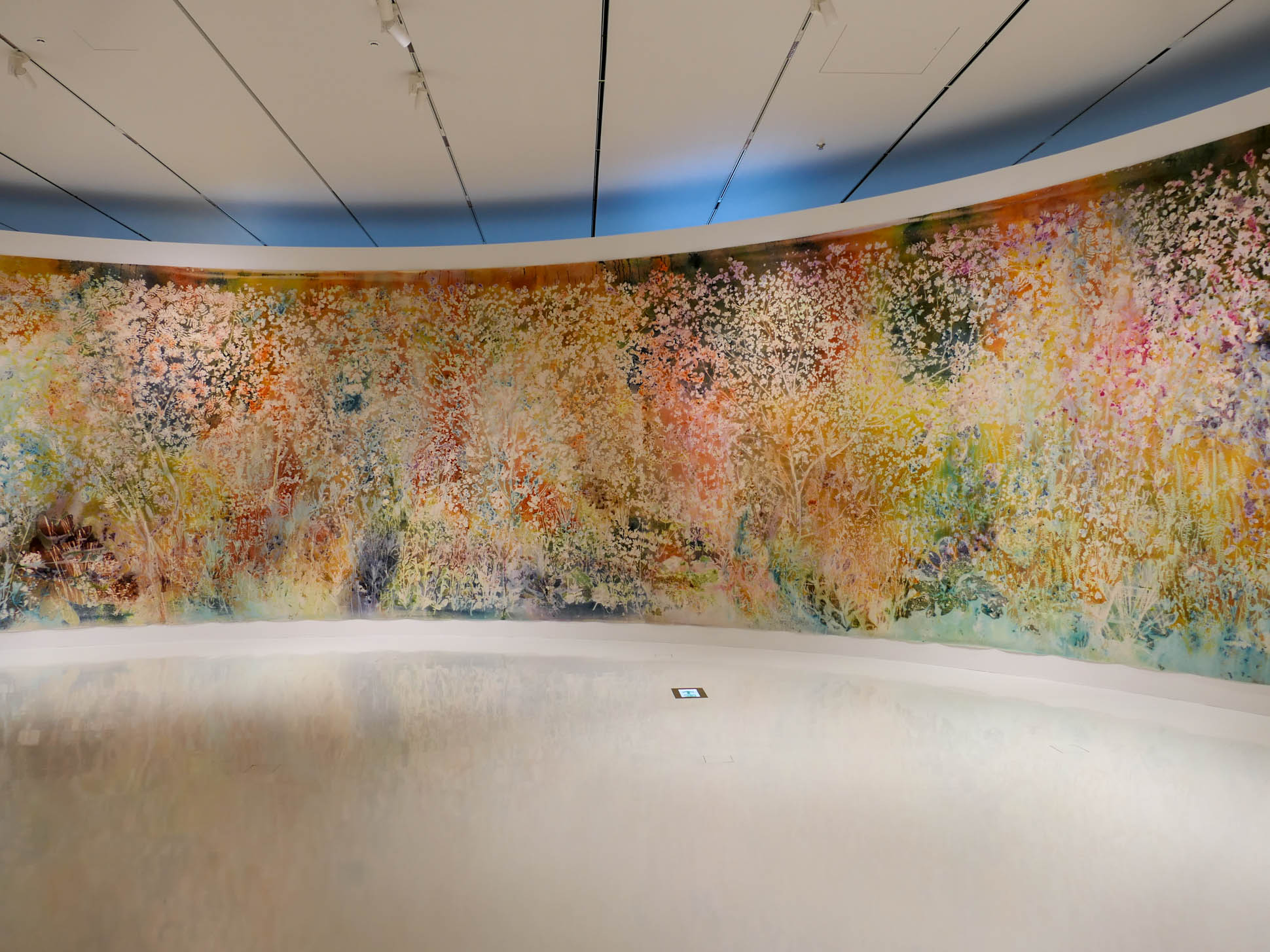 Sam Falls. Spring to Fall 5 Sam Falls