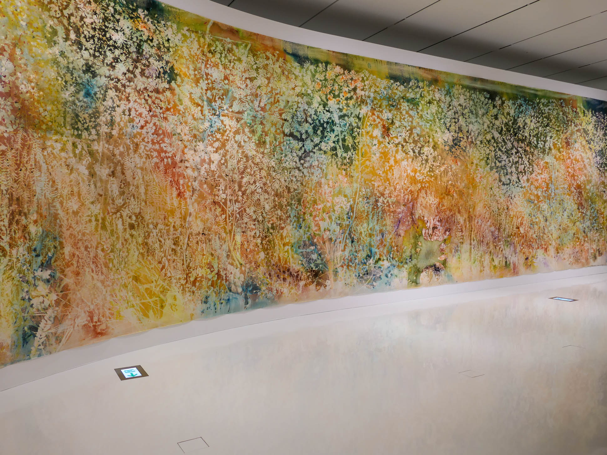 Sam Falls. Spring to Fall 2 Sam Falls