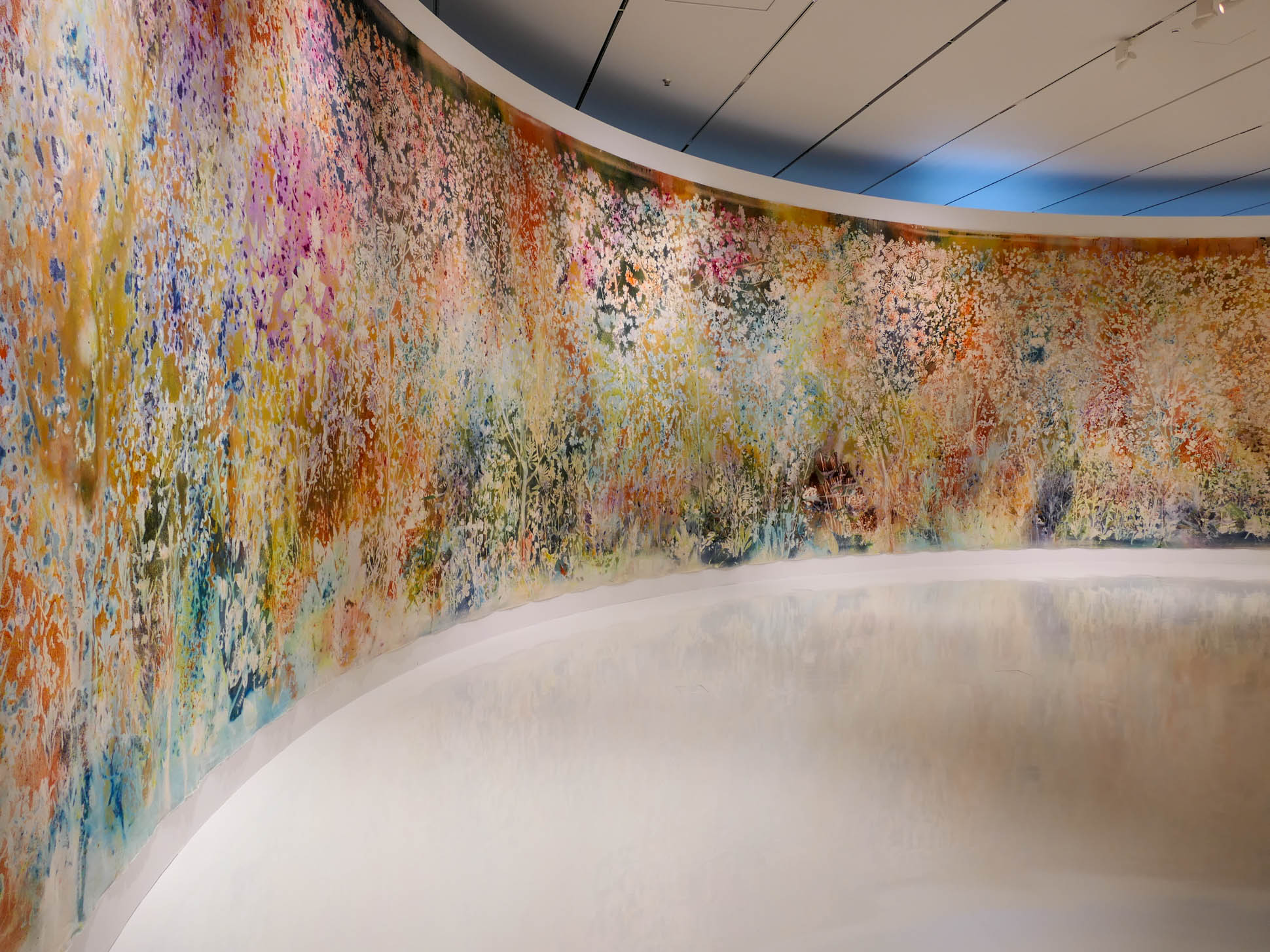 Sam Falls. Spring to Fall 3 Sam Falls