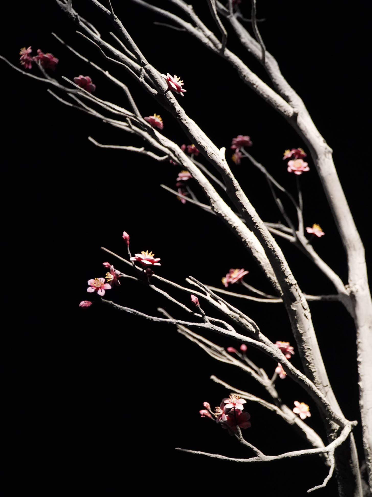 Hans Op de Beeck