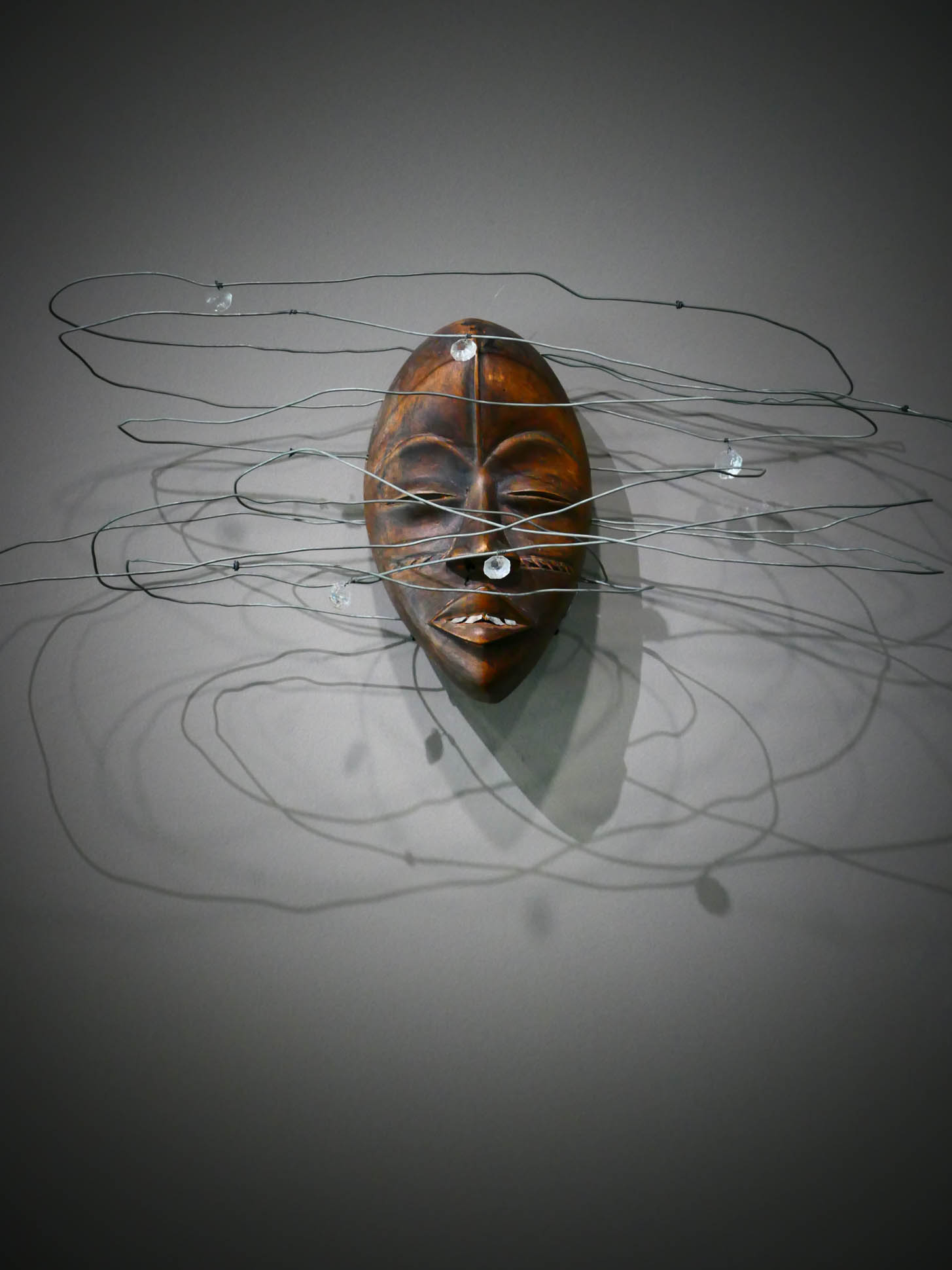 fondation cartier paris