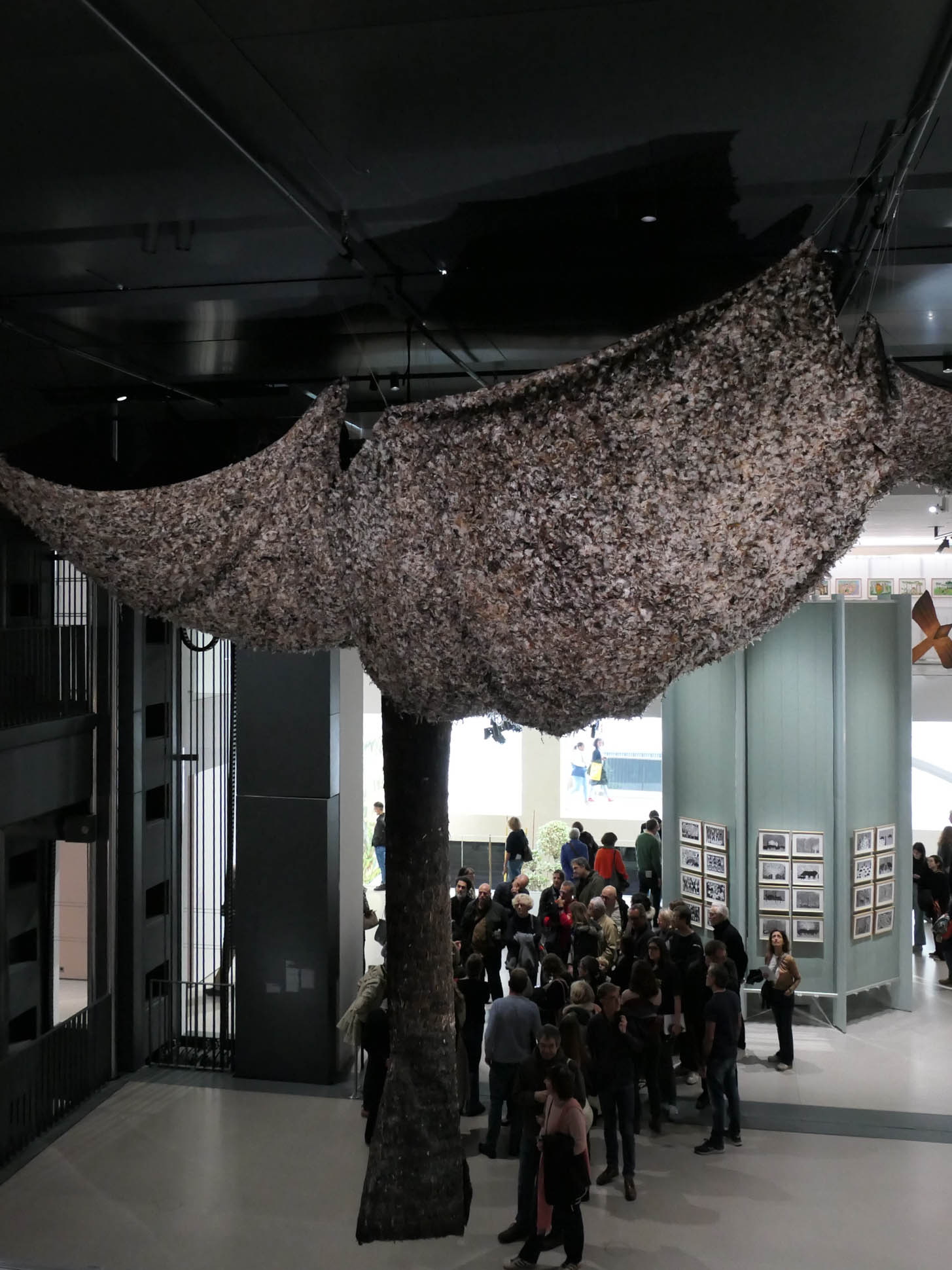 fondation cartier paris