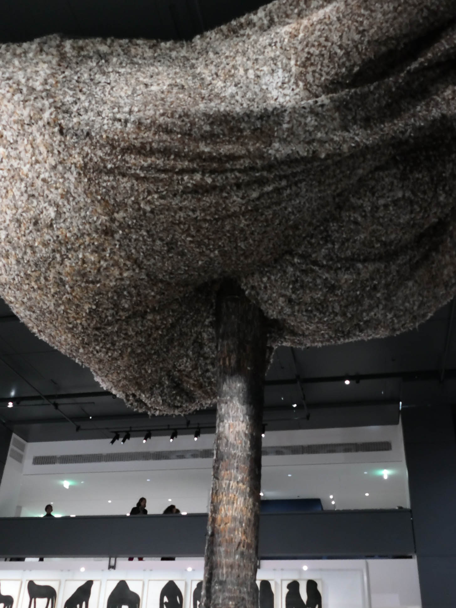 fondation cartier paris