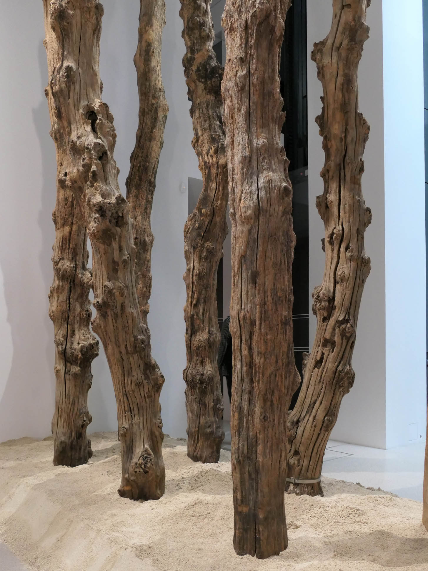 fondation cartier paris