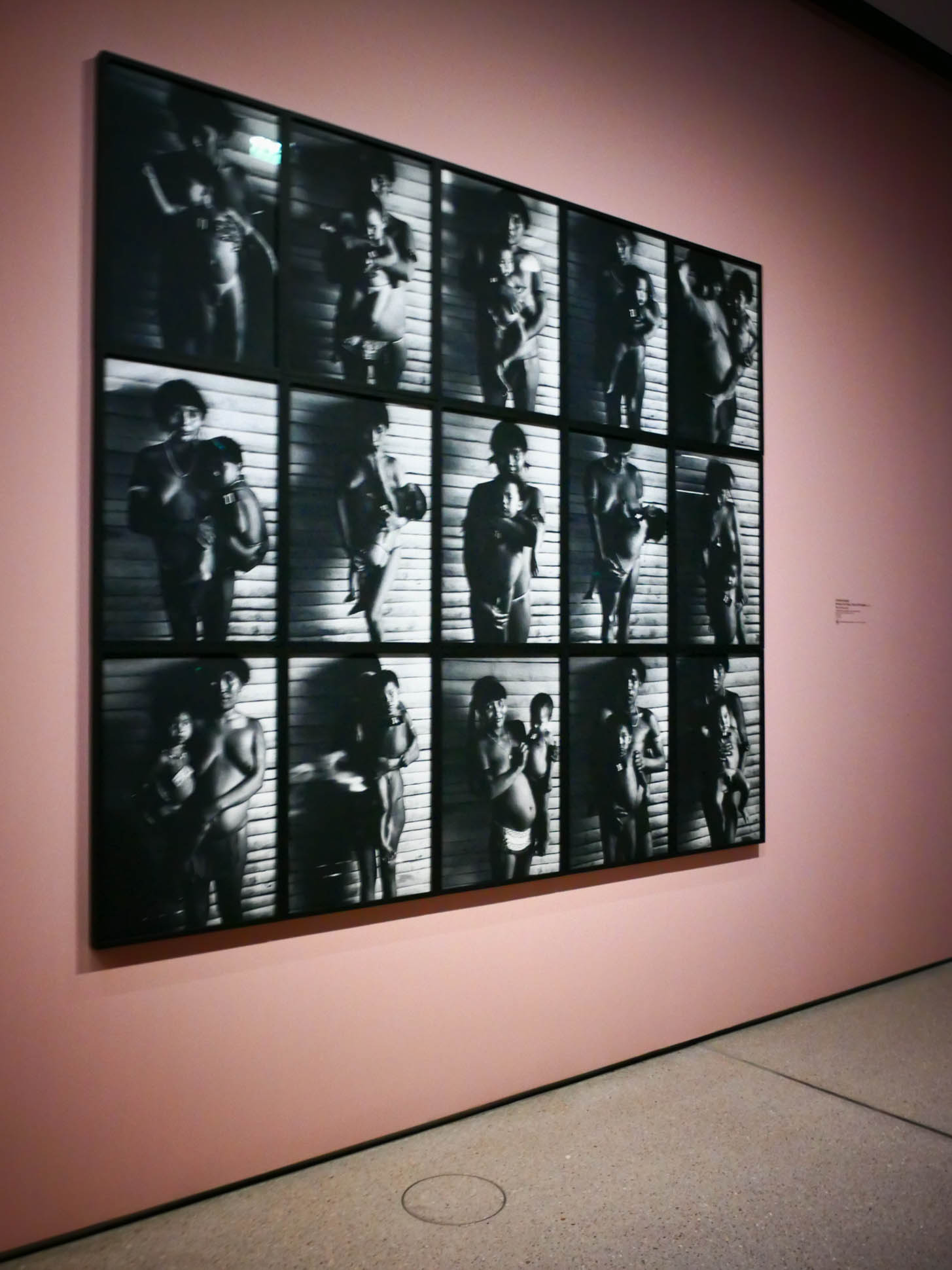 fondation cartier paris